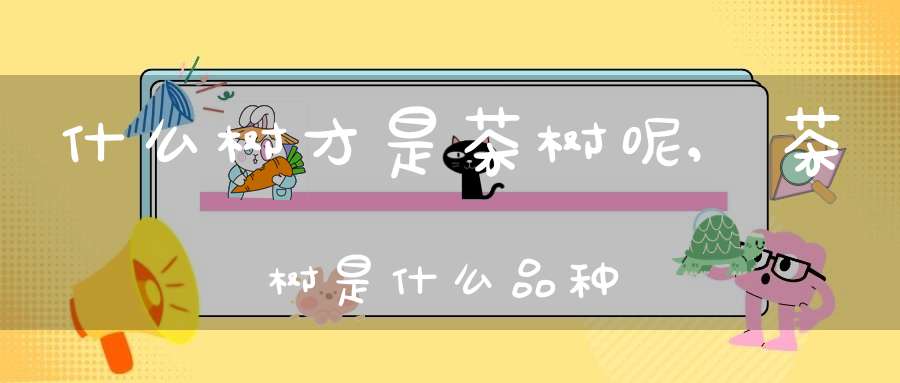 什么树才是茶树呢,茶树是什么品种