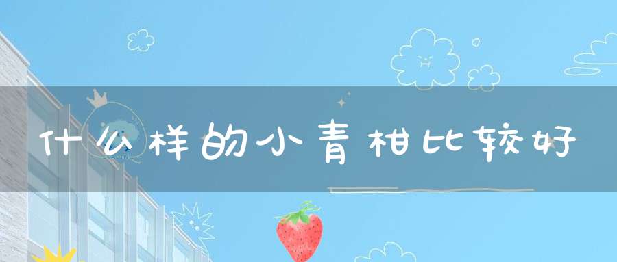 什么样的小青柑比较好