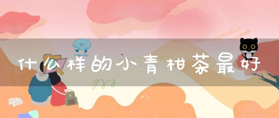 什么样的小青柑茶最好