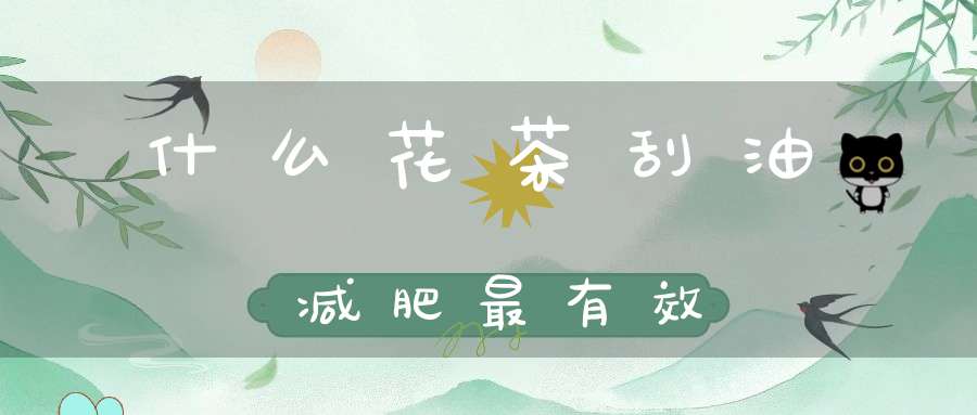 什么花茶刮油减肥最有效