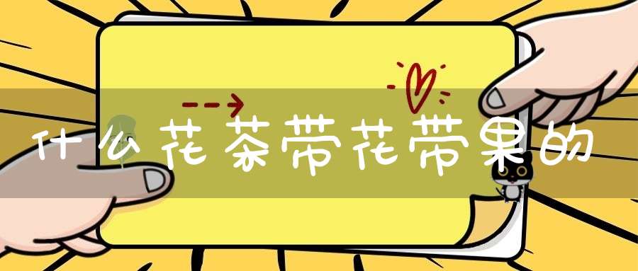 什么花茶带花带果的