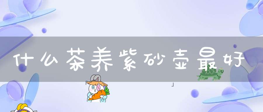 什么茶养紫砂壶最好