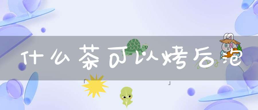 什么茶可以烤后泡