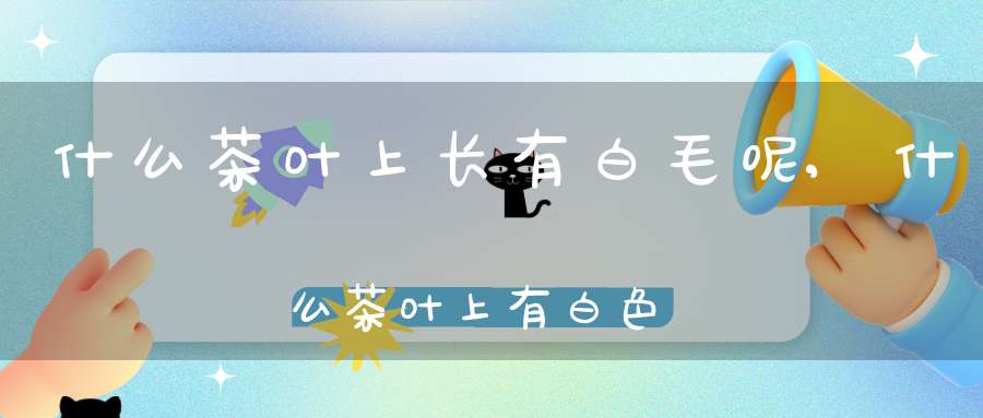 什么茶叶上长有白毛呢,什么茶叶上有白色绒毛