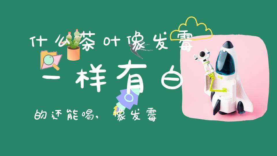 什么茶叶像发霉一样有白的还能喝,像发霉的茶叶是什么