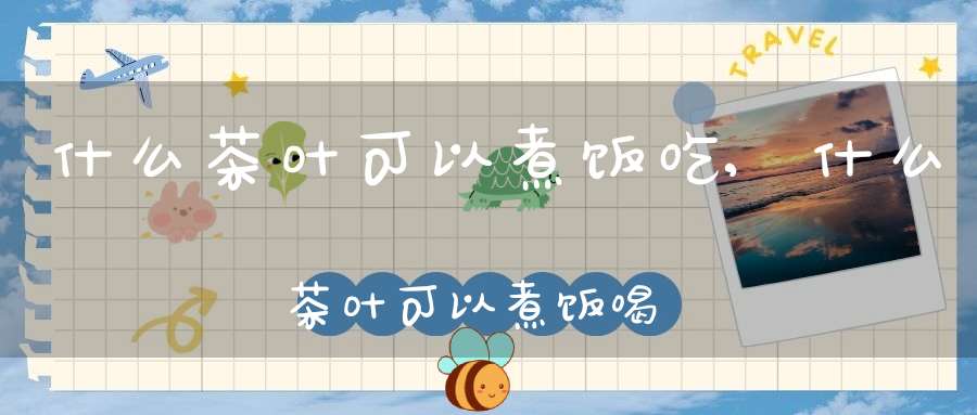 什么茶叶可以煮饭吃,什么茶叶可以煮饭喝