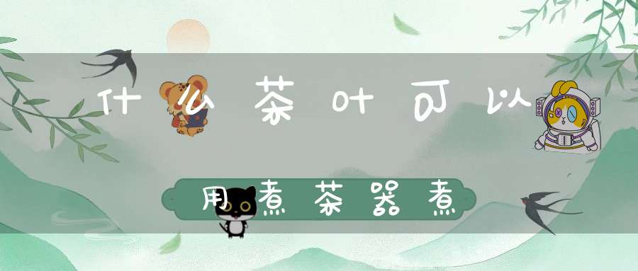 什么茶叶可以用煮茶器煮