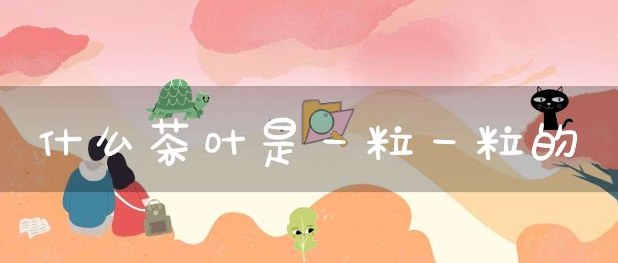 什么茶叶是一粒一粒的