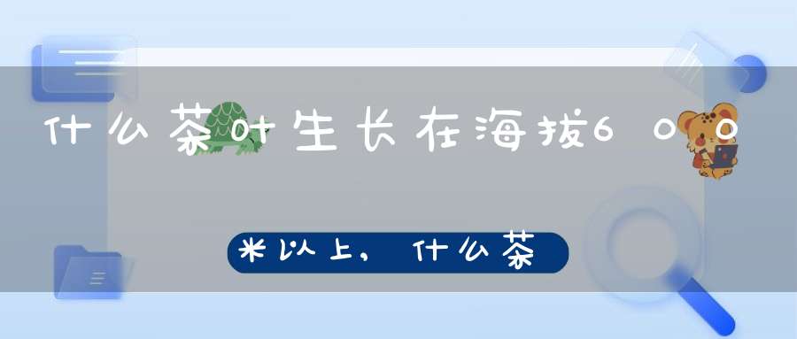 什么茶叶生长在海拔600米以上,什么茶叶生长在海拔600米以下