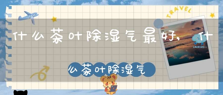 什么茶叶除湿气最好,什么茶叶除湿气