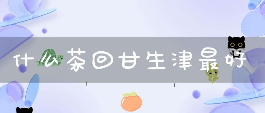 什么茶回甘生津最好