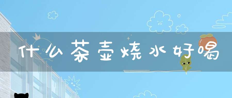 什么茶壶烧水好喝