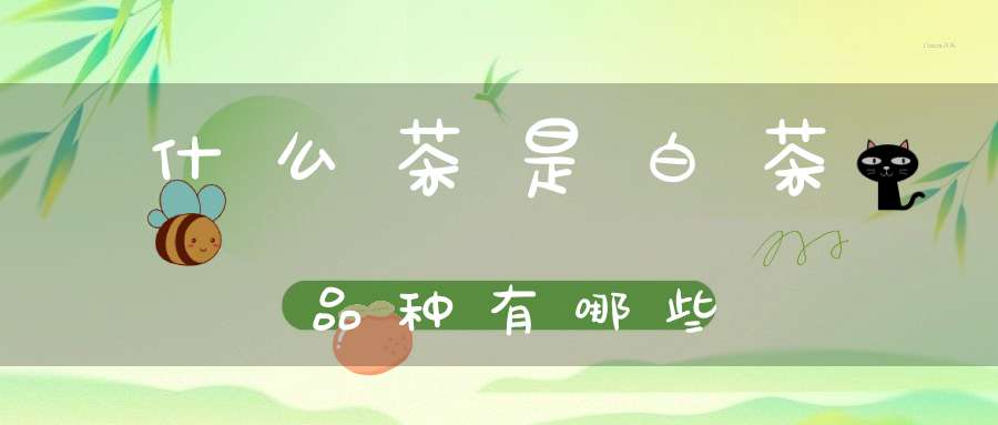 什么茶是白茶品种有哪些