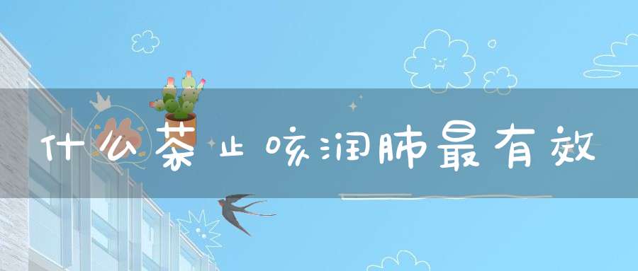 什么茶止咳润肺最有效