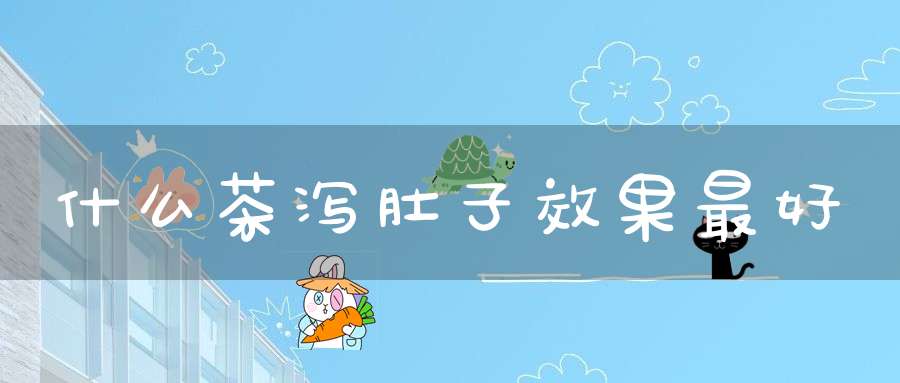 什么茶泻肚子效果最好