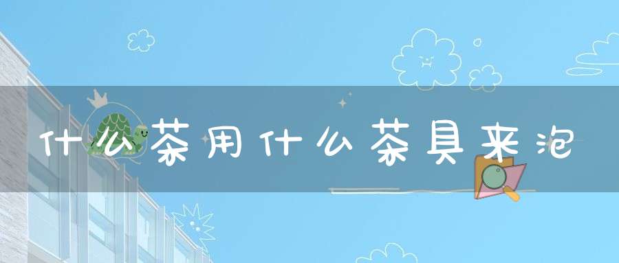 什么茶用什么茶具来泡