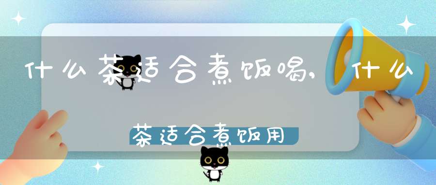 什么茶适合煮饭喝,什么茶适合煮饭用