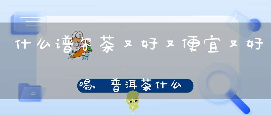 什么谱尔茶又好又便宜又好喝,普洱茶什么牌子好