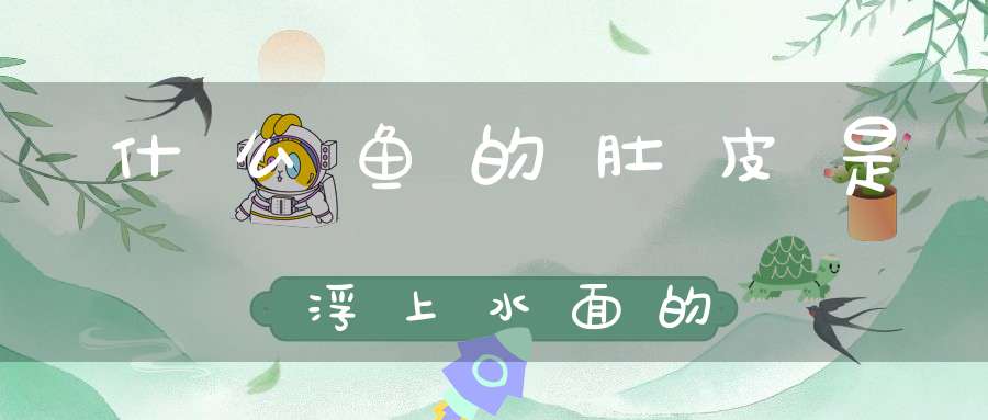 什么鱼的肚皮是浮上水面的