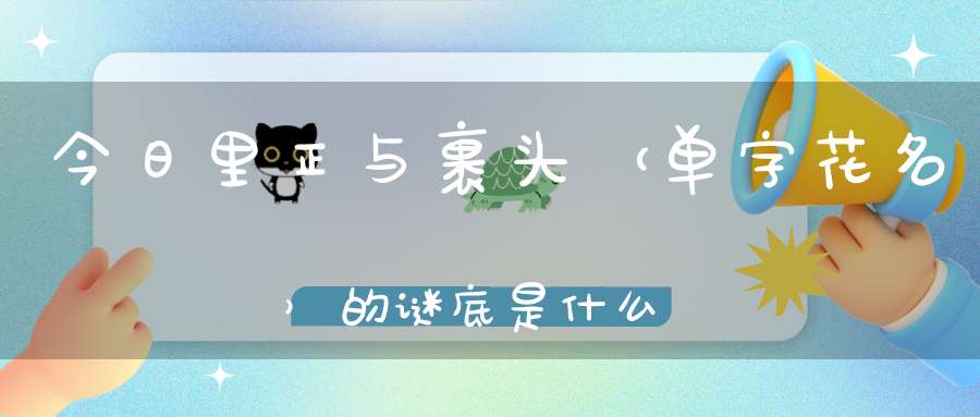 今日里正与裹头 （单字花名）的谜底是什么?
