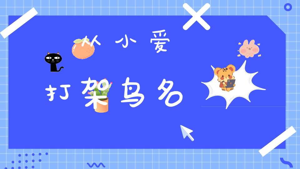 从小爱打架  鸟名