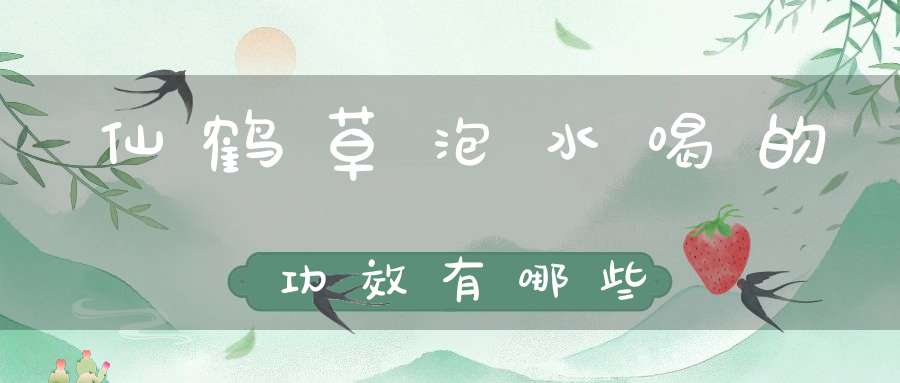 仙鹤草泡水喝的功效有哪些？