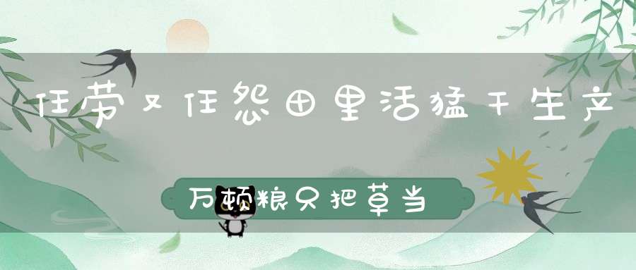 任劳又任怨，田里活猛干，生产万顿粮，只把草当饭。（打一动物）