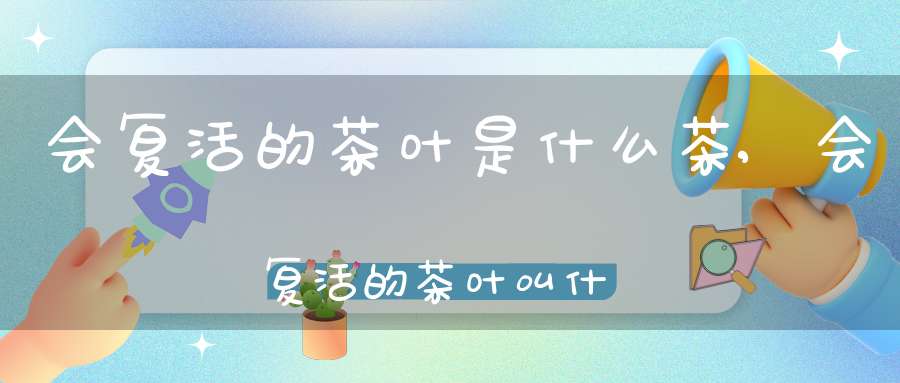 会复活的茶叶是什么茶,会复活的茶叶叫什么