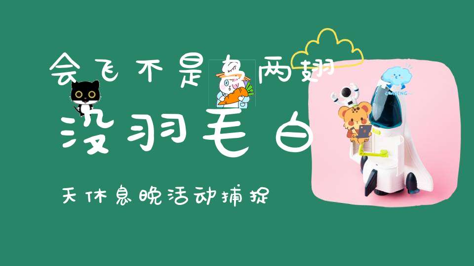 会飞不是鸟，两翅没羽毛，白天休息晚活动，捕捉害虫本领高（打一