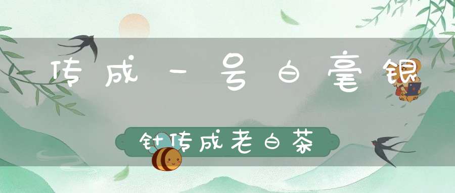 传成一号白毫银针传成老白茶