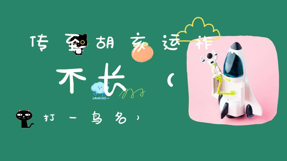 传至胡亥运祚不长（打一鸟名）