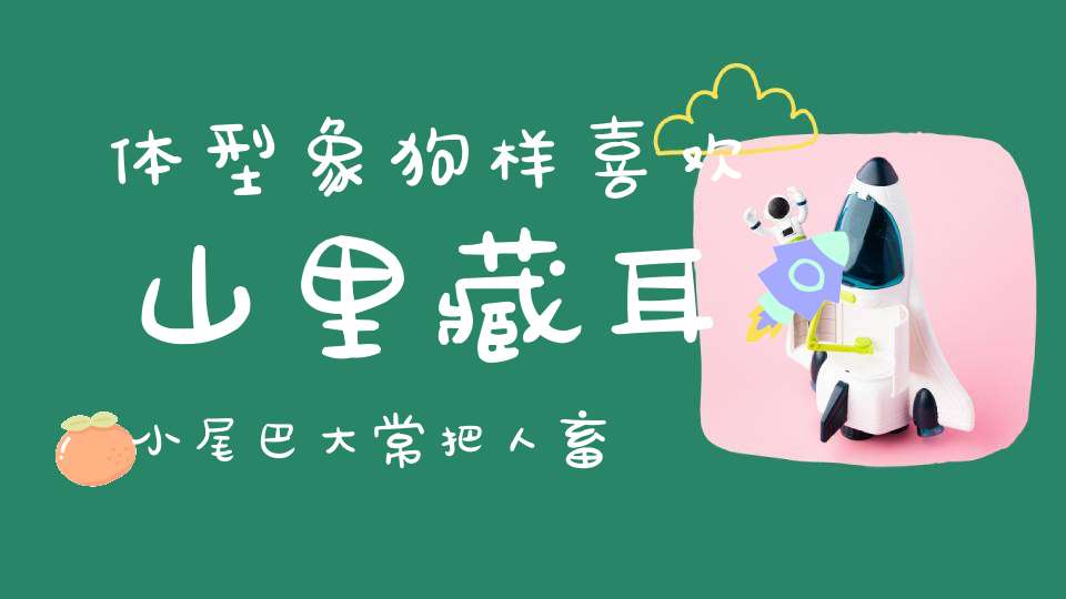 体型象狗样，喜欢山里藏，耳小尾巴大，常把人畜伤（打一动物）