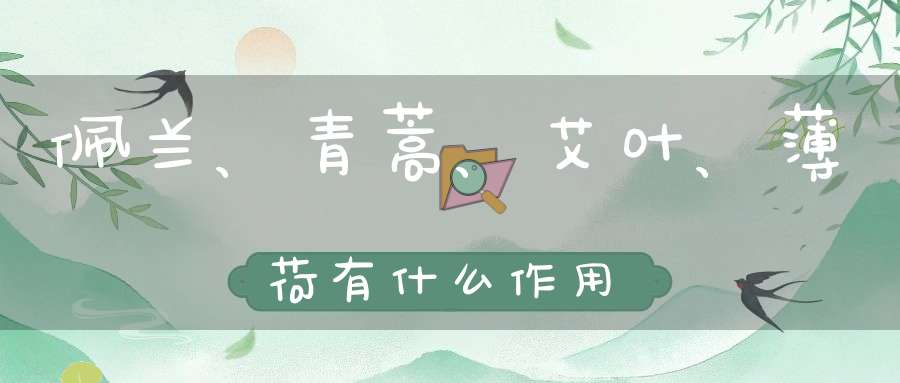 佩兰、青蒿、艾叶、薄荷有什么作用？
