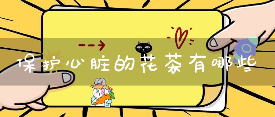 保护心脏的花茶有哪些