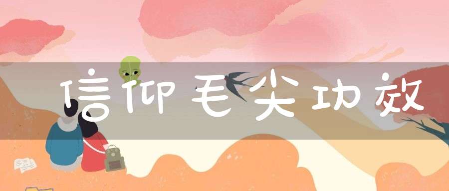 信仰毛尖功效