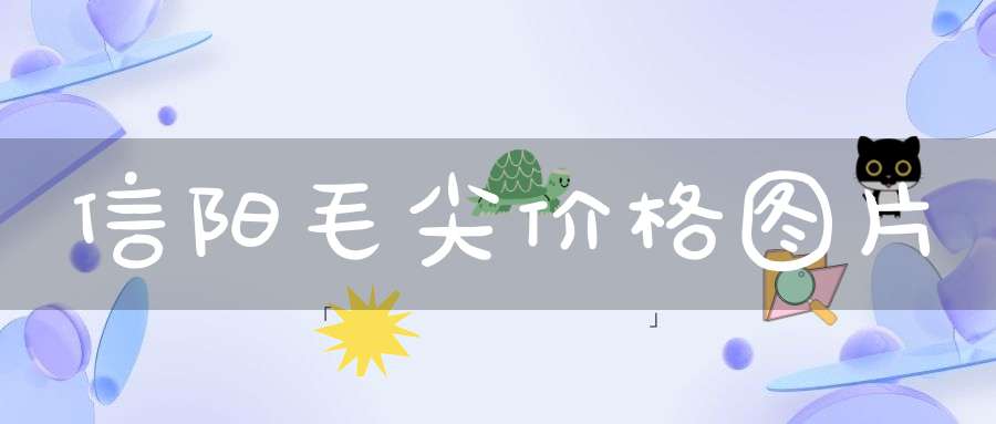 信阳毛尖价格图片