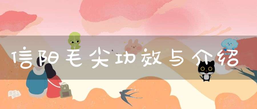 信阳毛尖功效与介绍