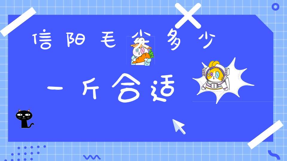 信阳毛尖多少一斤合适