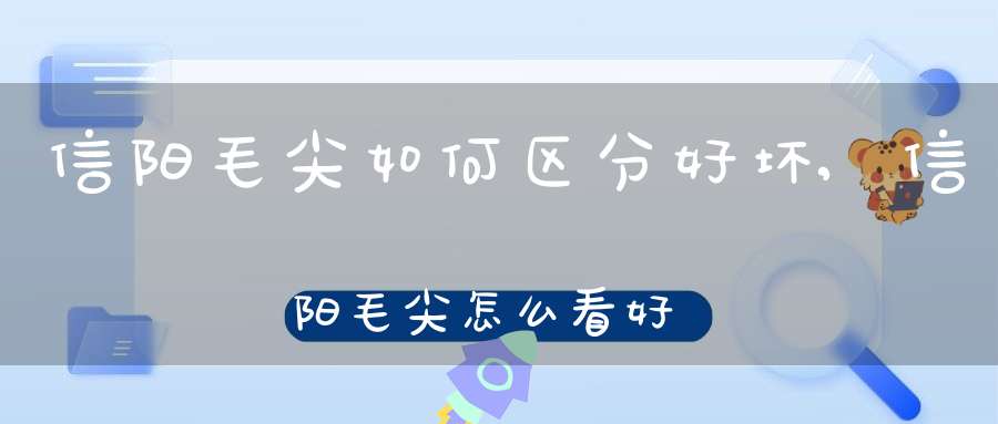 信阳毛尖如何区分好坏,信阳毛尖怎么看好不好