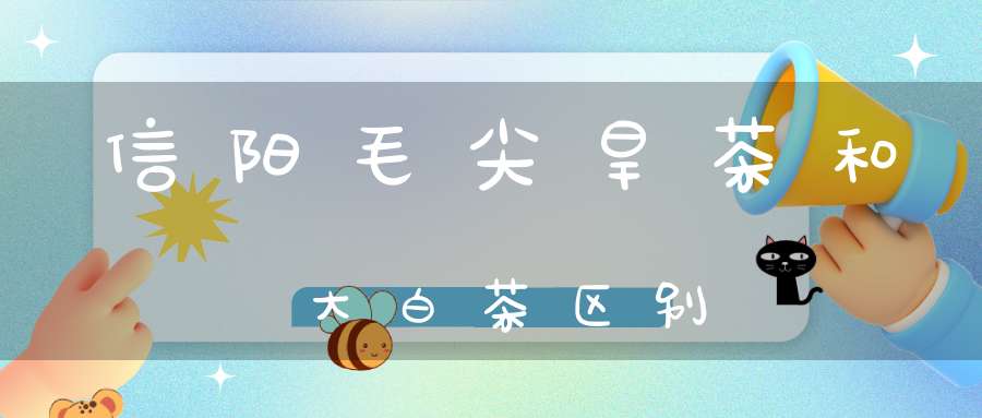 信阳毛尖旱茶和大白茶区别