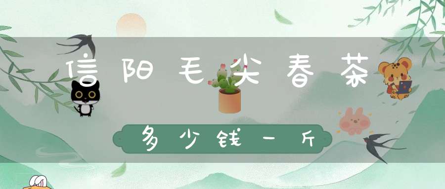信阳毛尖春茶多少钱一斤