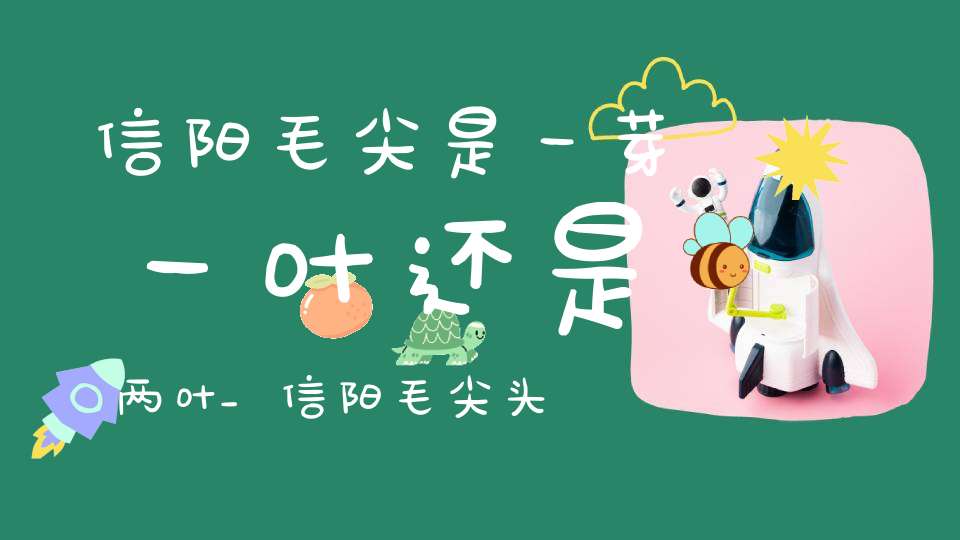 信阳毛尖是一芽一叶还是两叶_信阳毛尖头芽啥意思