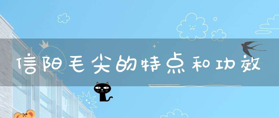 信阳毛尖的特点和功效