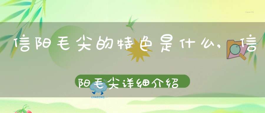 信阳毛尖的特色是什么,信阳毛尖详细介绍