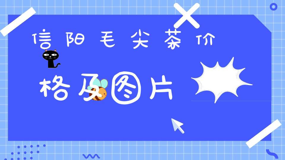 信阳毛尖茶价格及图片