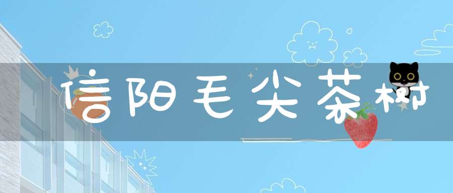 信阳毛尖茶树