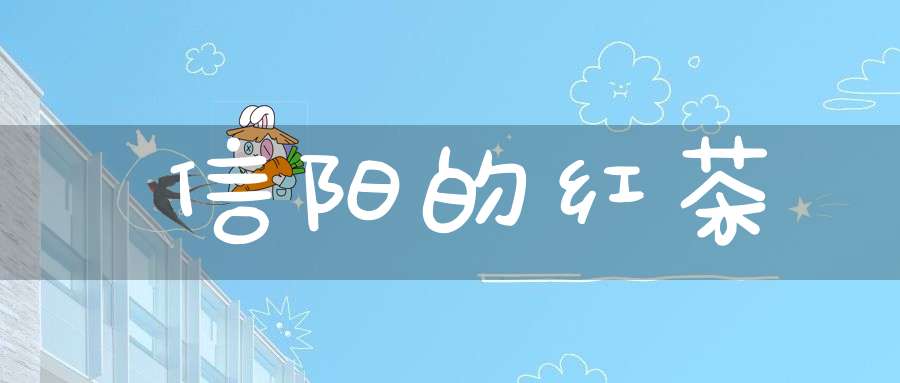 信阳的红茶