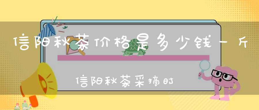 信阳秋茶价格是多少钱一斤信阳秋茶采摘时间