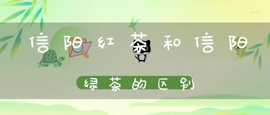 信阳红茶和信阳绿茶的区别