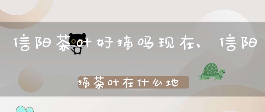 信阳茶叶好摘吗现在,信阳摘茶叶在什么地方